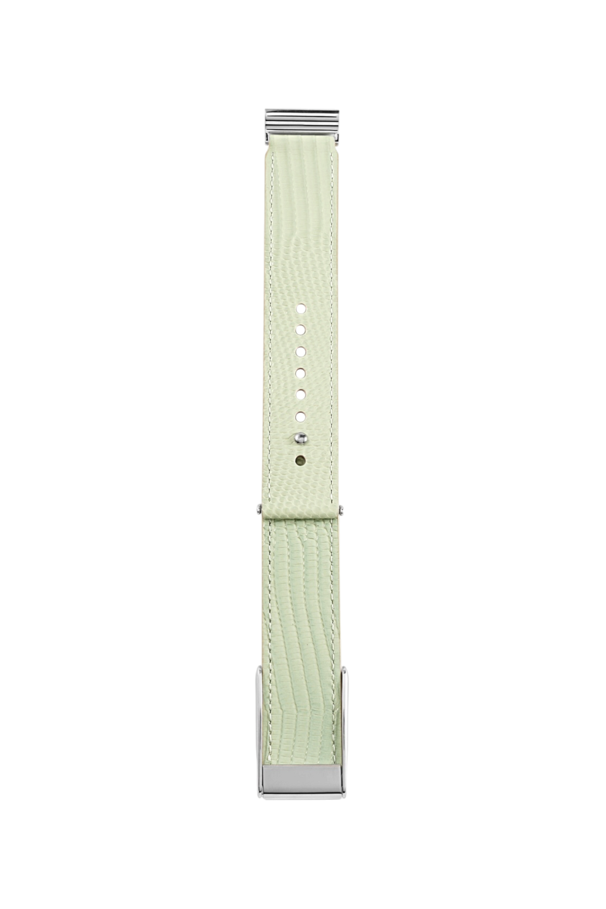 DKN Exclusive – Sage Green Lizard Whoop 5.0 & MG Strap