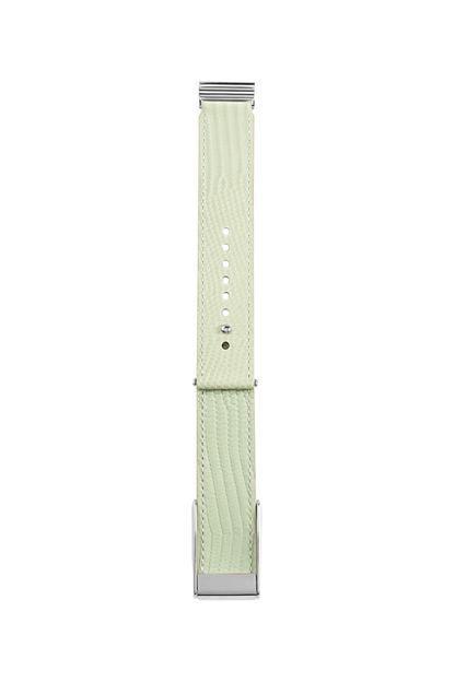 DKN Exclusive – Sage Green Lizard Whoop 5.0 & MG Strap